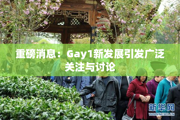 重磅消息：Gay1新发展引发广泛关注与讨论