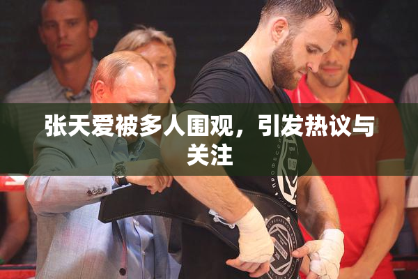 张天爱被多人围观，引发热议与关注
