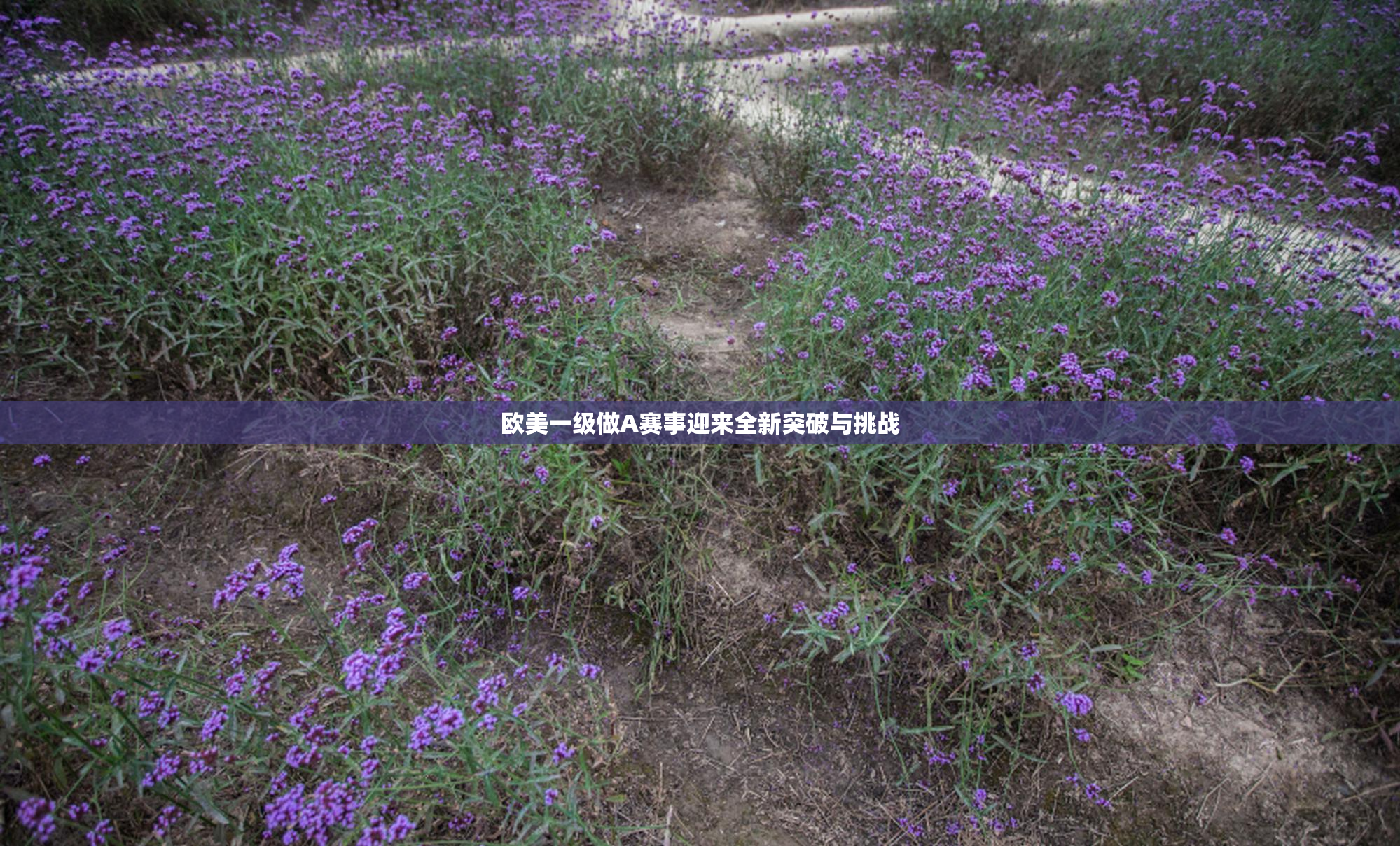 欧美一级做A赛事迎来全新突破与挑战