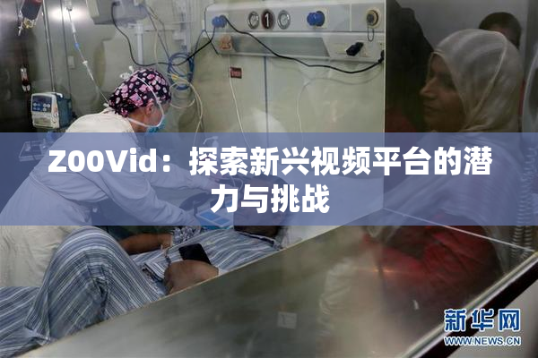Z00Vid：探索新兴视频平台的潜力与挑战