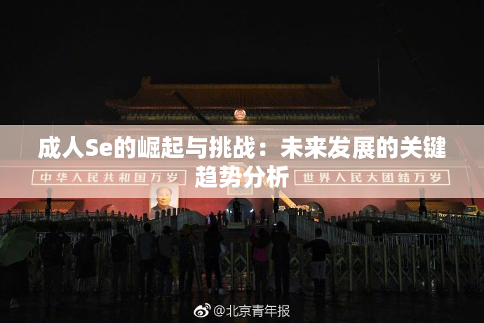 成人Se的崛起与挑战：未来发展的关键趋势分析