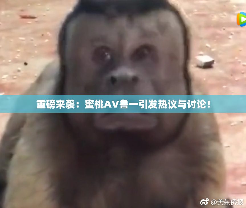 重磅来袭：蜜桃AV鲁一引发热议与讨论！
