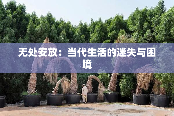 无处安放：当代生活的迷失与困境