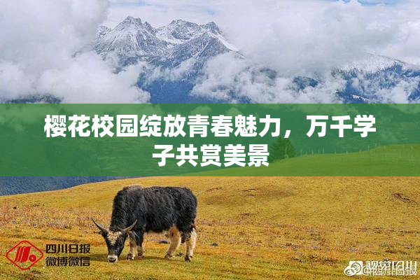 樱花校园绽放青春魅力，万千学子共赏美景