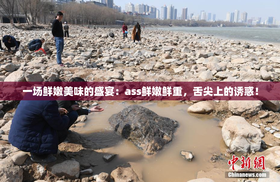 一场鲜嫩美味的盛宴：ass鲜嫩鲜重，舌尖上的诱惑！
