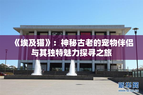 《埃及猫》：神秘古老的宠物伴侣与其独特魅力探寻之旅