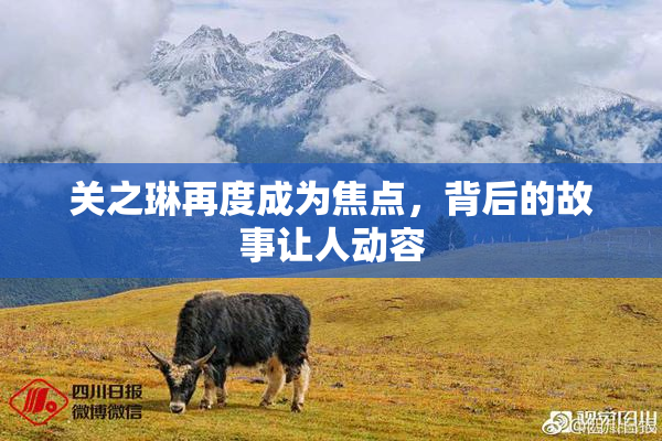 关之琳再度成为焦点，背后的故事让人动容
