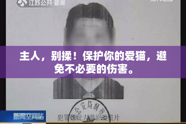 主人，别揉！保护你的爱猫，避免不必要的伤害。