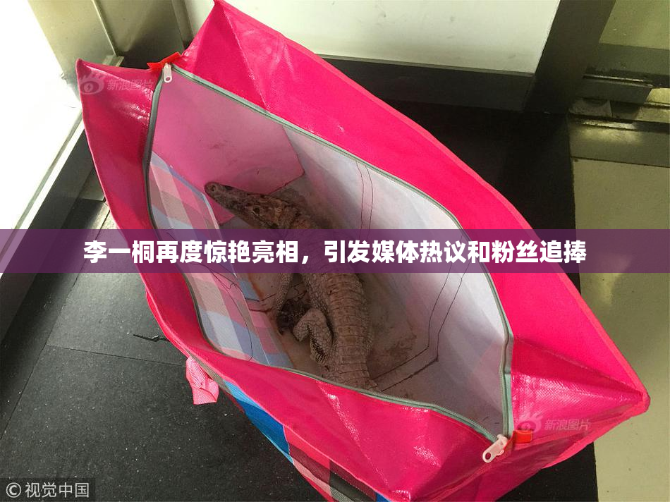 李一桐再度惊艳亮相，引发媒体热议和粉丝追捧