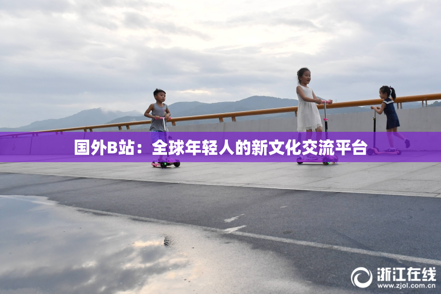国外B站：全球年轻人的新文化交流平台