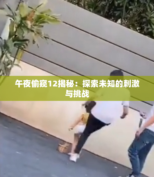 午夜偷窥12揭秘：探索未知的刺激与挑战