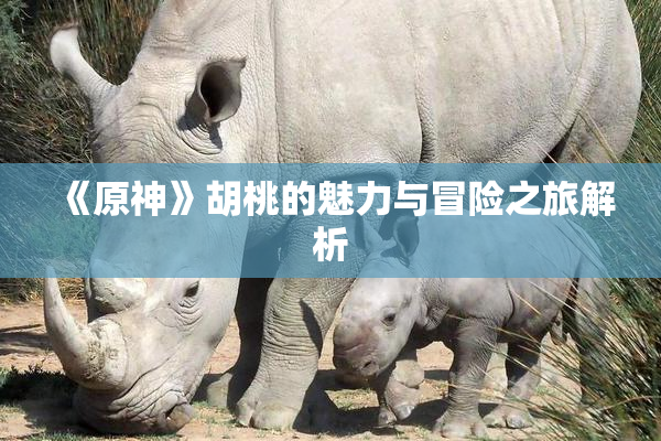 《原神》胡桃的魅力与冒险之旅解析