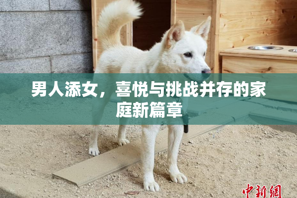 男人添女，喜悦与挑战并存的家庭新篇章