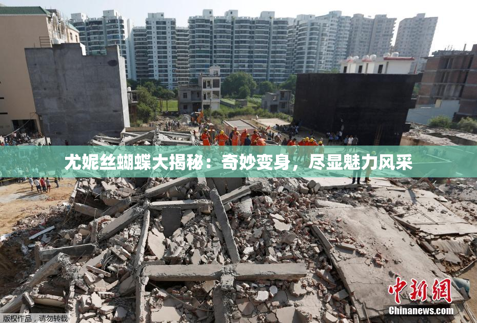 尤妮丝蝴蝶大揭秘：奇妙变身，尽显魅力风采