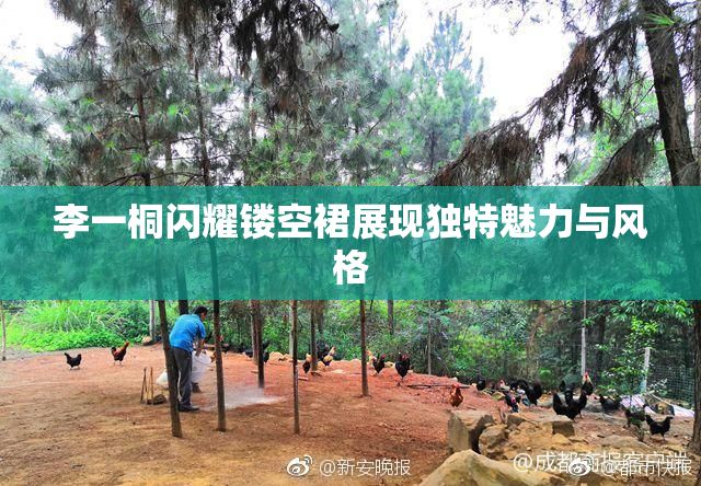 李一桐闪耀镂空裙展现独特魅力与风格