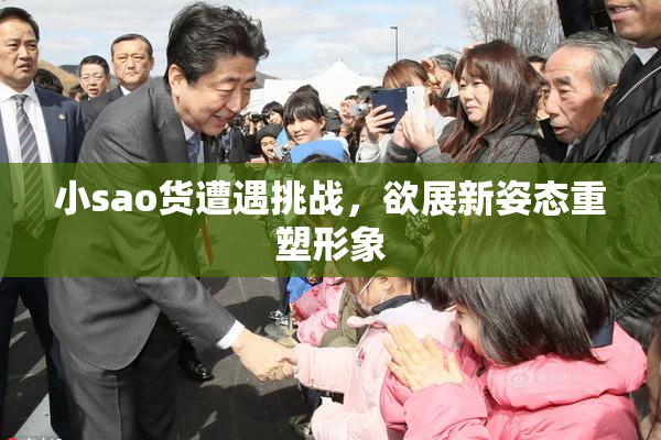 小sao货遭遇挑战，欲展新姿态重塑形象