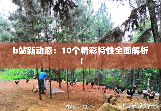b站新动态：10个精彩特性全面解析！