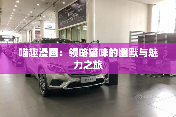 喵趣漫画：领略猫咪的幽默与魅力之旅