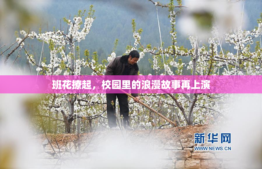 班花撩起，校园里的浪漫故事再上演