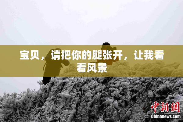 宝贝，请把你的腿张开，让我看看风景