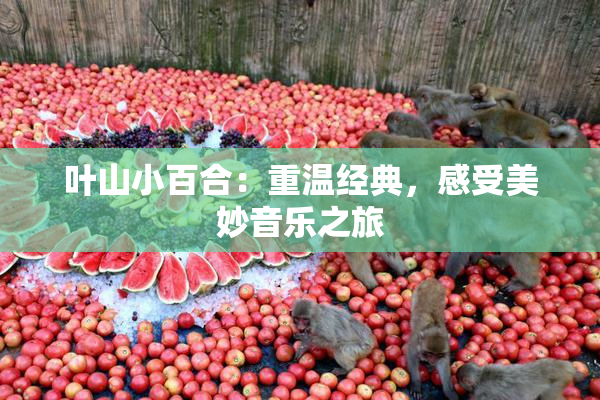 叶山小百合：重温经典，感受美妙音乐之旅