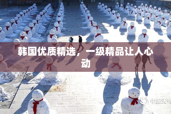 韩国优质精选，一级精品让人心动