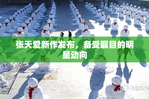 张天爱新作发布，备受瞩目的明星动向
