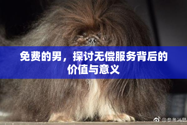 免费的男，探讨无偿服务背后的价值与意义