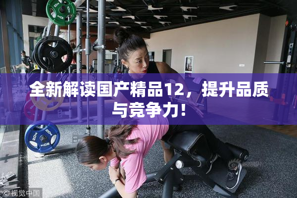 全新解读国产精品12，提升品质与竞争力！