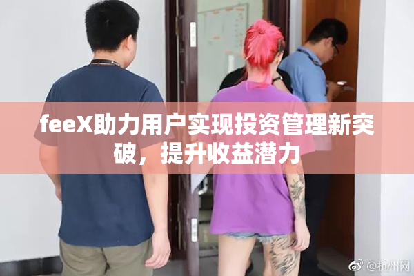 feeX助力用户实现投资管理新突破，提升收益潜力