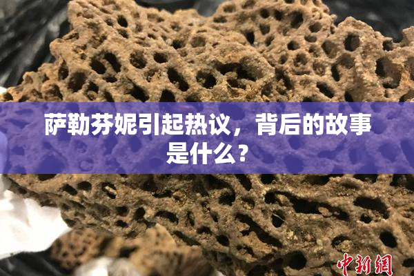 萨勒芬妮引起热议，背后的故事是什么？