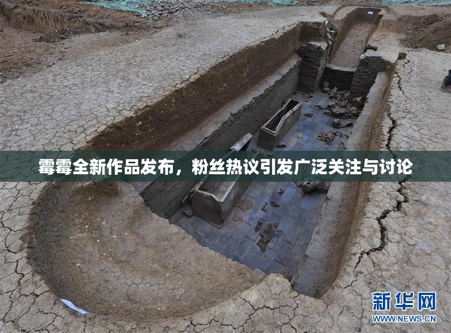 霉霉全新作品发布，粉丝热议引发广泛关注与讨论
