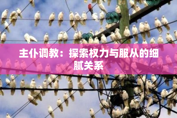 主仆调教：探索权力与服从的细腻关系