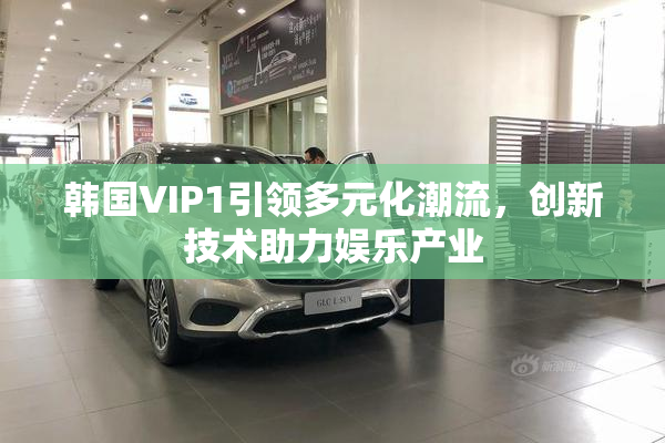 韩国VIP1引领多元化潮流，创新技术助力娱乐产业