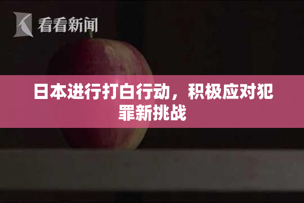 日本进行打白行动，积极应对犯罪新挑战