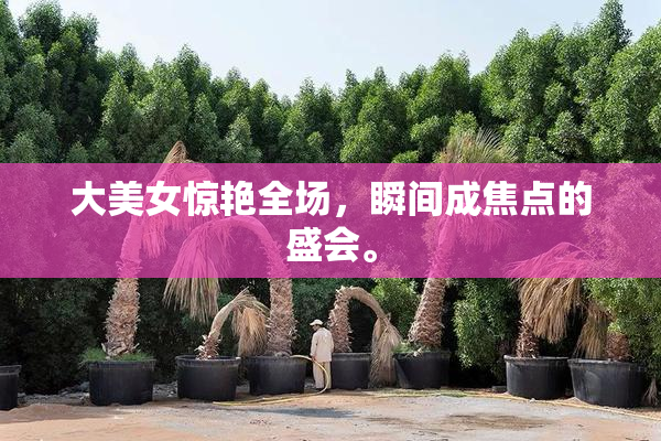 大美女惊艳全场，瞬间成焦点的盛会。