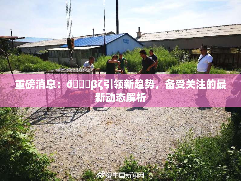 重磅消息：👙βζ引领新趋势，备受关注的最新动态解析