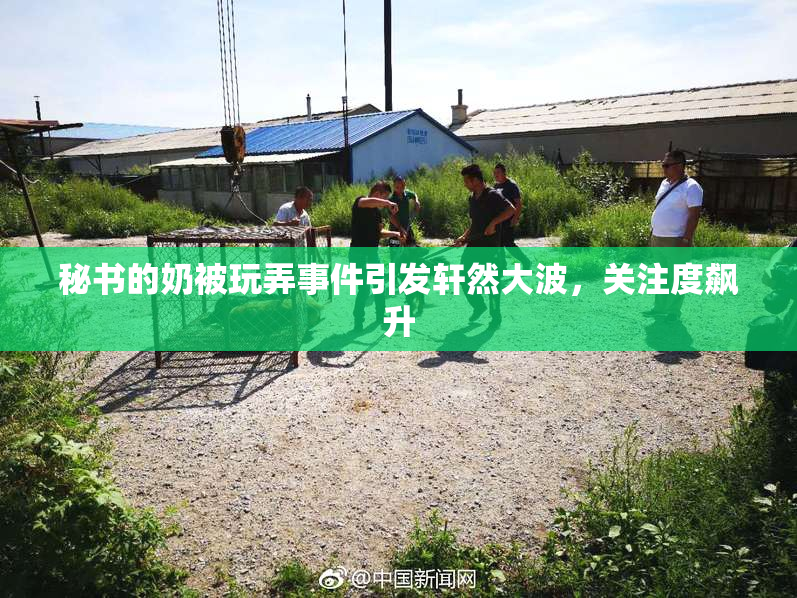 秘书的奶被玩弄事件引发轩然大波，关注度飙升