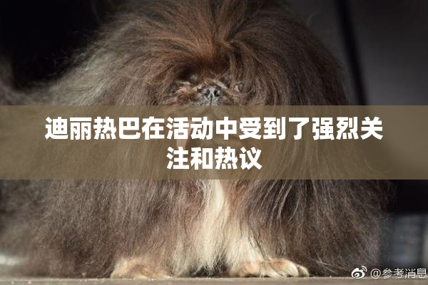 迪丽热巴在活动中受到了强烈关注和热议