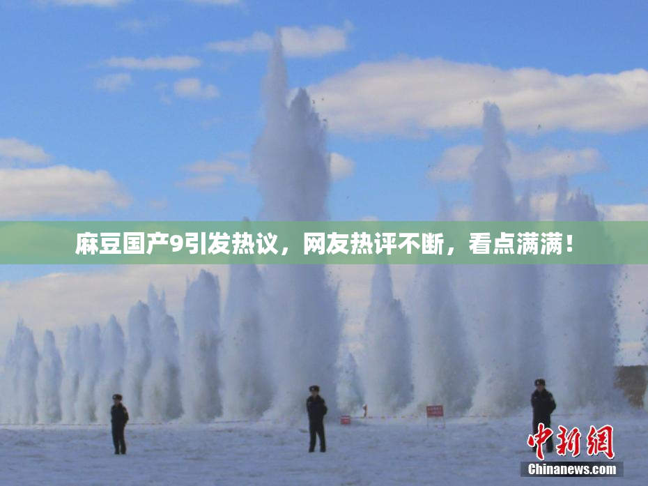 麻豆国产9引发热议，网友热评不断，看点满满！