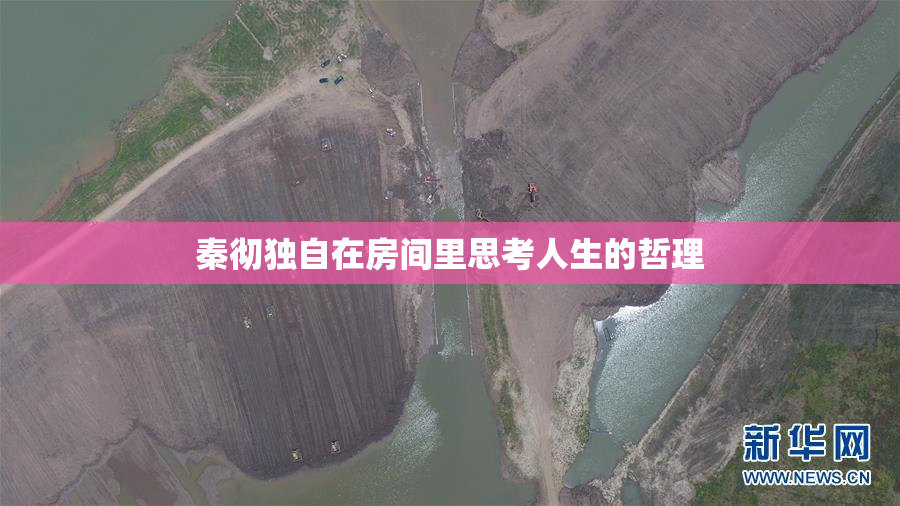 秦彻独自在房间里思考人生的哲理