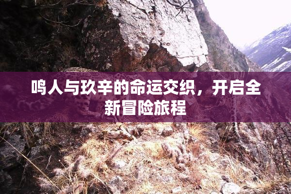 鸣人与玖辛的命运交织，开启全新冒险旅程