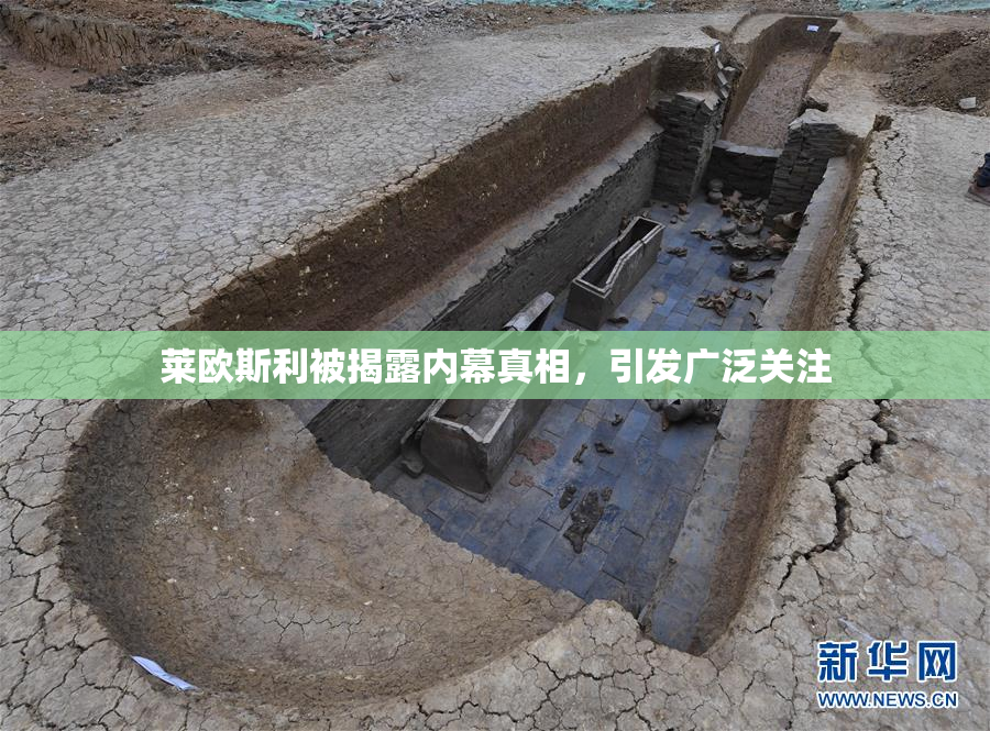 莱欧斯利被揭露内幕真相，引发广泛关注