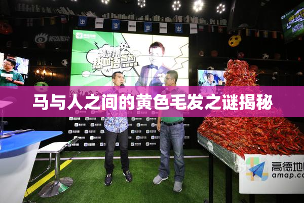马与人之间的黄色毛发之谜揭秘