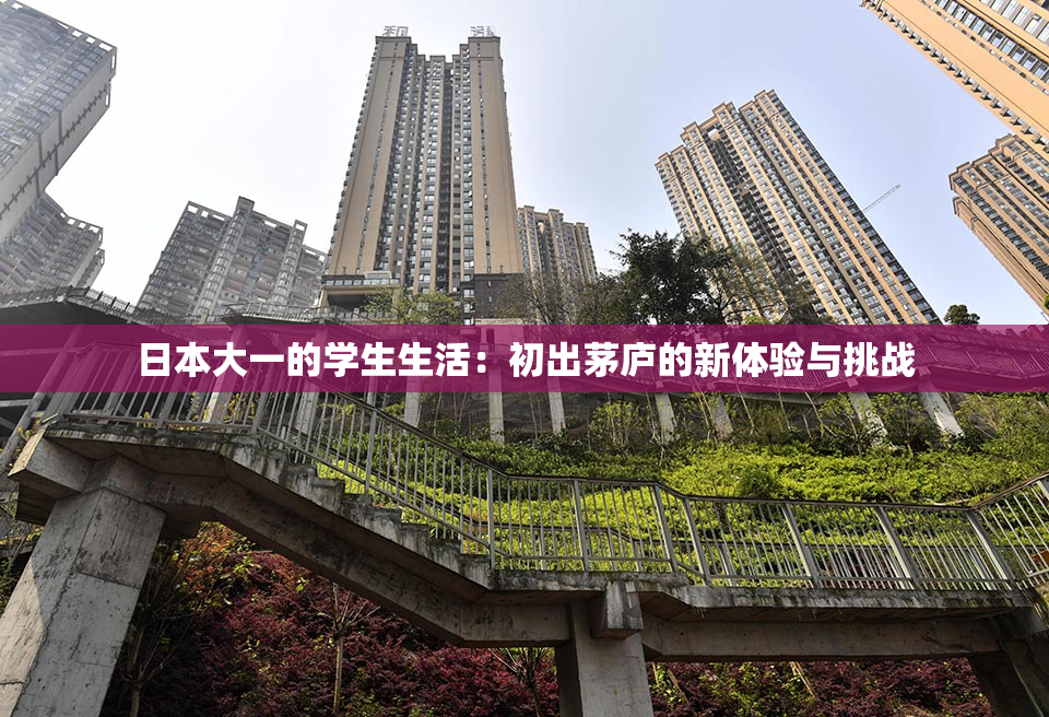 日本大一的学生生活：初出茅庐的新体验与挑战