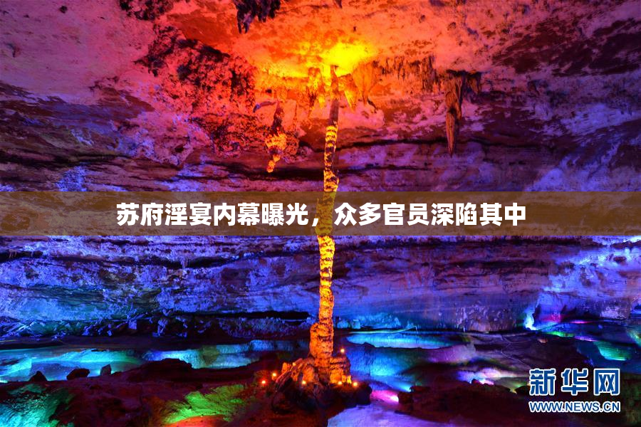 苏府淫宴内幕曝光，众多官员深陷其中