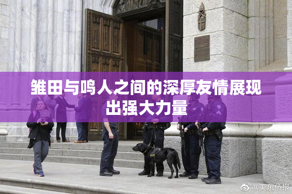 雏田与鸣人之间的深厚友情展现出强大力量