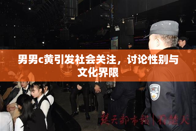 男男c黄引发社会关注，讨论性别与文化界限