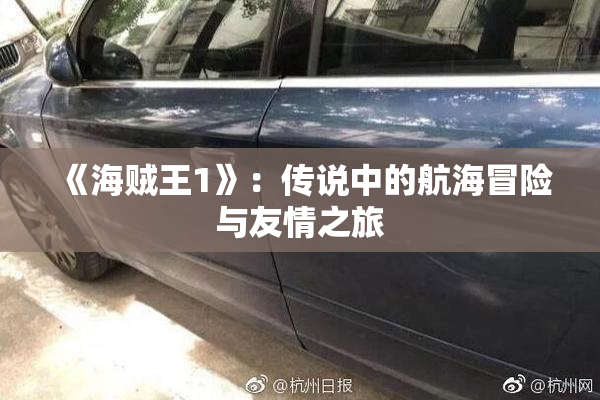 《海贼王1》：传说中的航海冒险与友情之旅