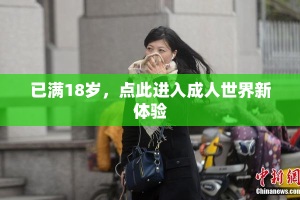 已满18岁，点此进入成人世界新体验